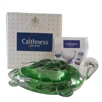 BOXED Caithness Crystal Green Glass Tortoise Paperweight