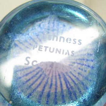 Caithness Glass "Petunias" Paperweight/Paper Weight