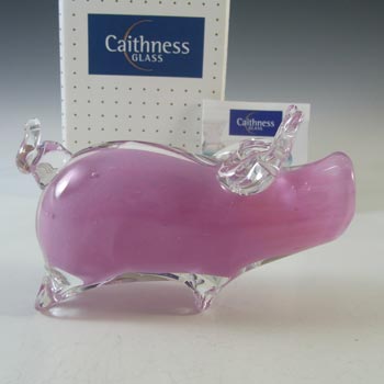 BOXED Caithness Crystal Pink & Clear Glass Pig Paperweight