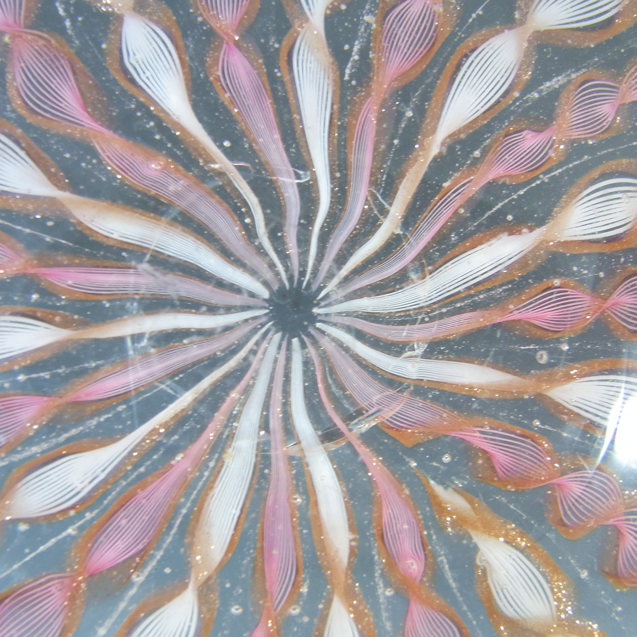 Salviati Murano Zanfirico & Aventurine Pink & White Glass Plate - Click Image to Close