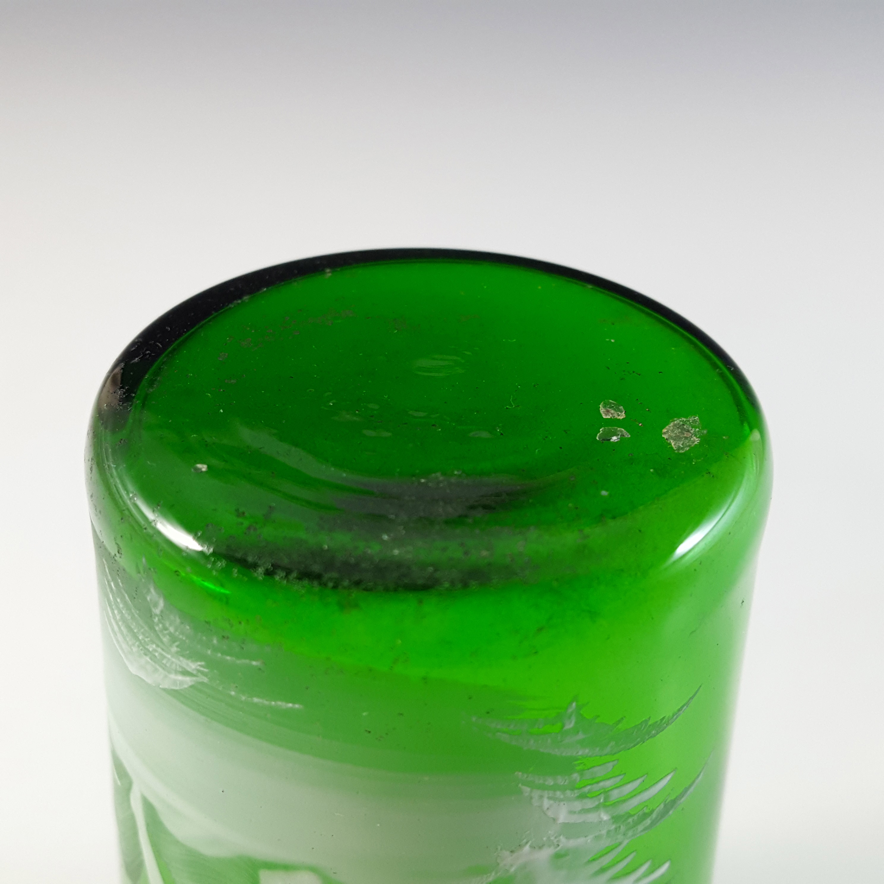 Mary Gregory Victorian Hand Enamelled Green Glass Tumbler - Click Image to Close