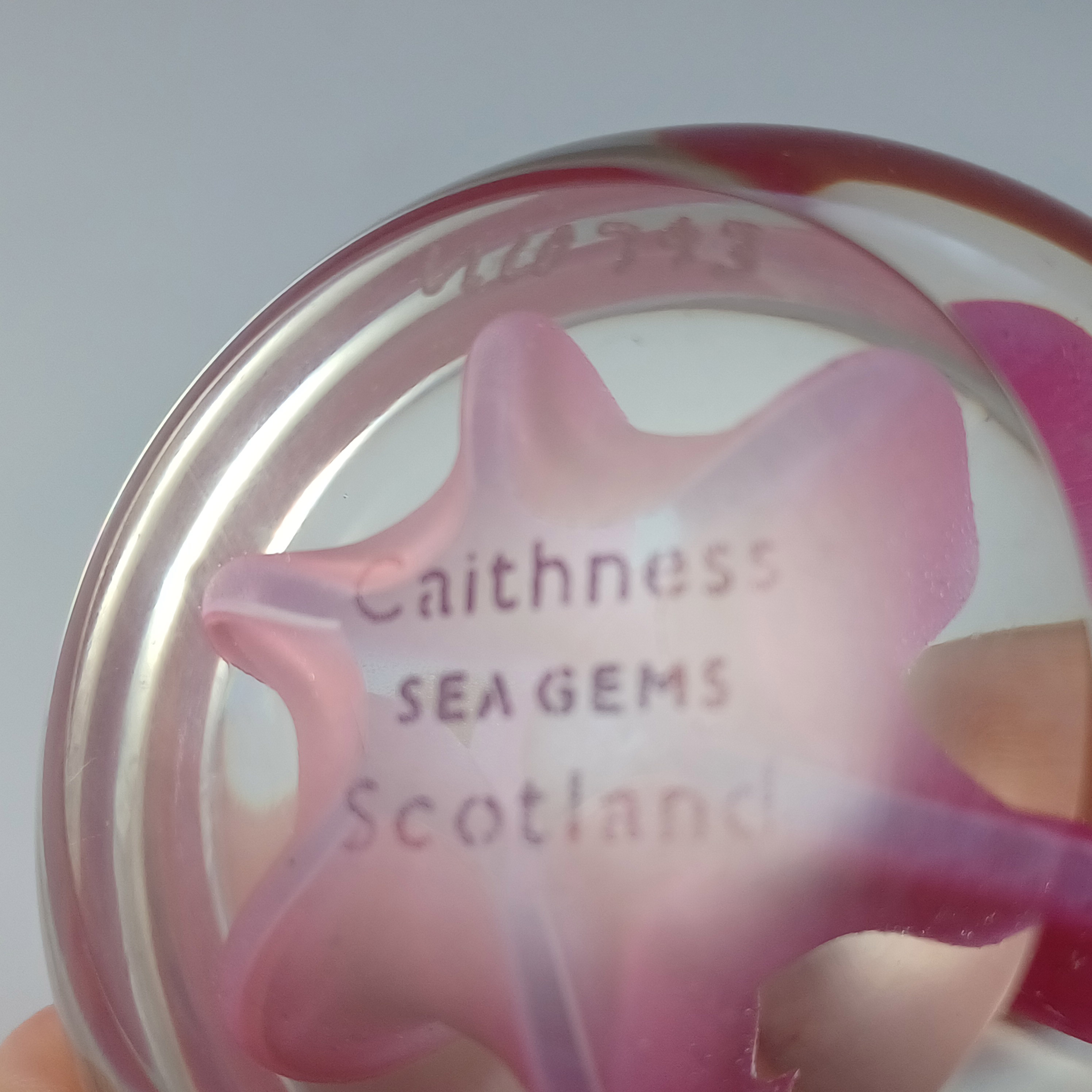 (image for) MARKED Caithness Vintage Pink Glass "Sea Gems" Paperweight - Click Image to Close
