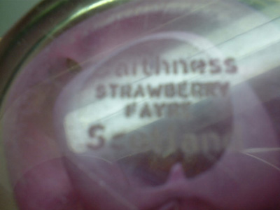 Caithness Glass "Strawberry Fayre" Paperweight - Click Image to Close