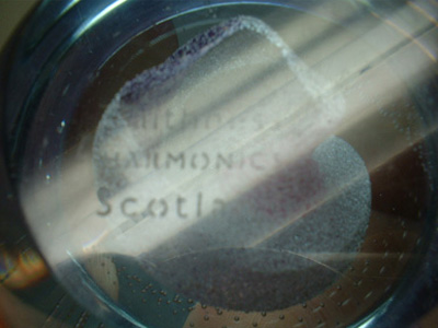 Caithness Glass "Harmonics" Paperweight/Paper Weight - Click Image to Close
