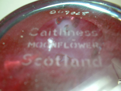 Caithness Glass "Moonflower" Paperweight/Paper Weight - Click Image to Close